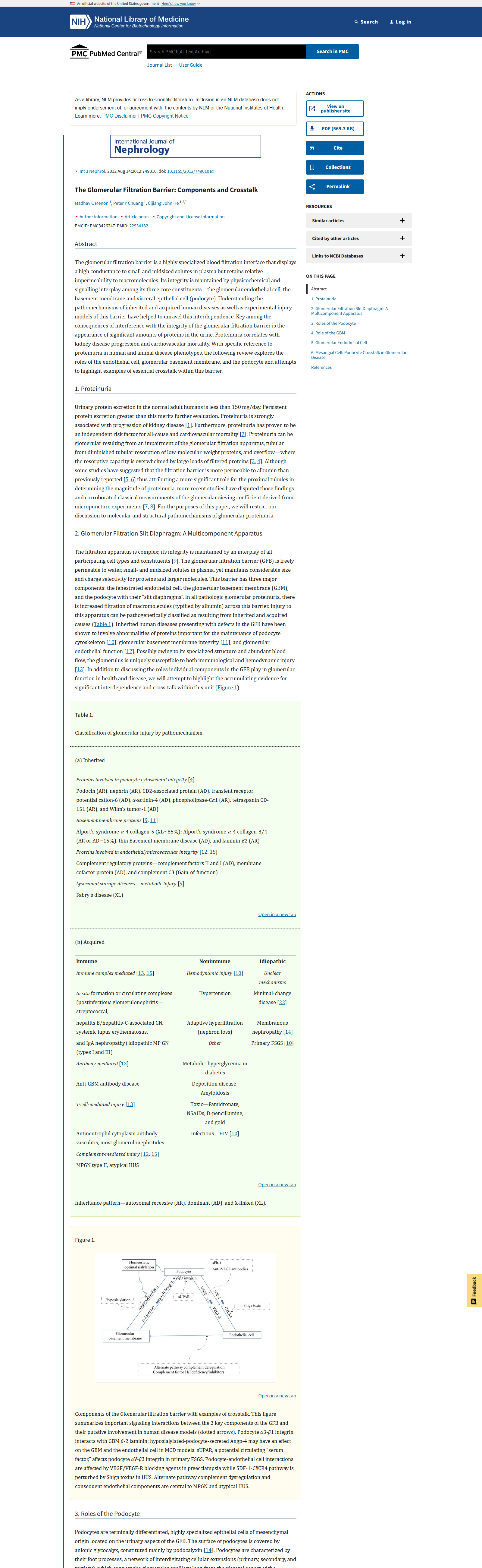Tangkapan halaman PMC artikel The Glomerular Filtration Barrier: Components and Crosstalk