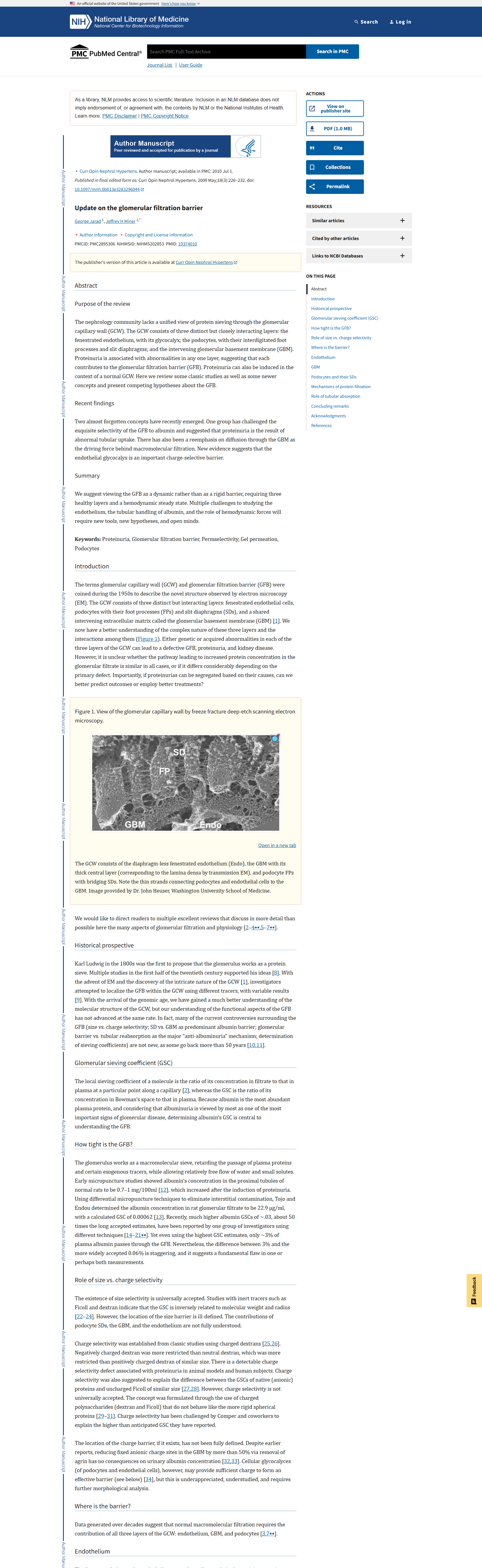 Tangkapan halaman PMC artikel Update on the glomerular filtration barrier